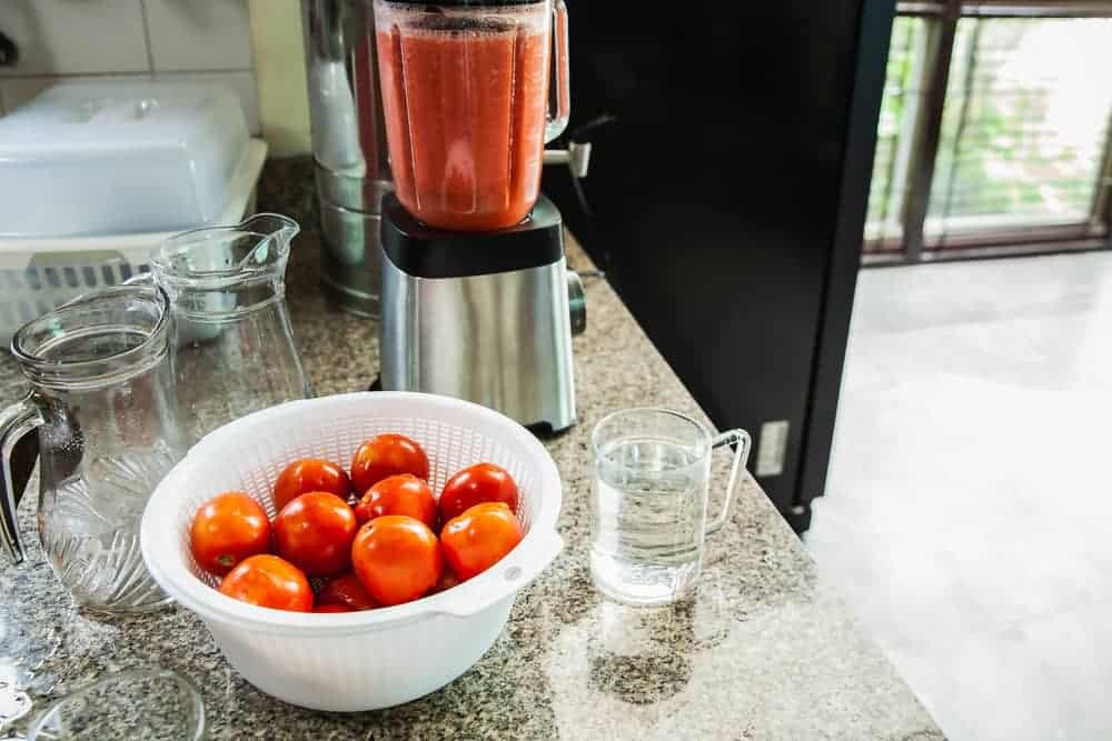 10 Best Electric Tomato Juicer for Canning [2024 UPDATE]