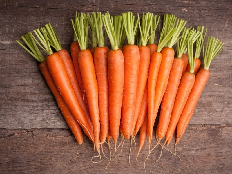 Selecting The Best Carrots For Juicing