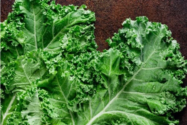 Why Choose Kale for Juicing?