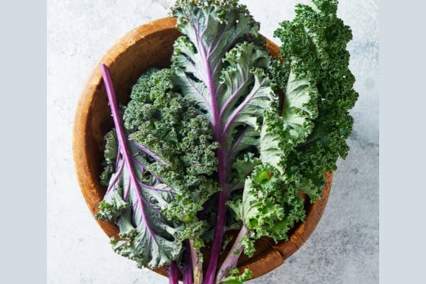Kale Juice Last in the Fridge Fresh Tips!
