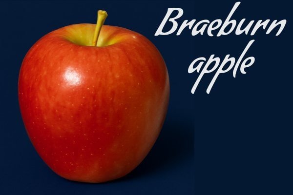 Braeburn apple