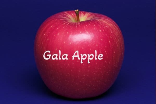 Gala apple