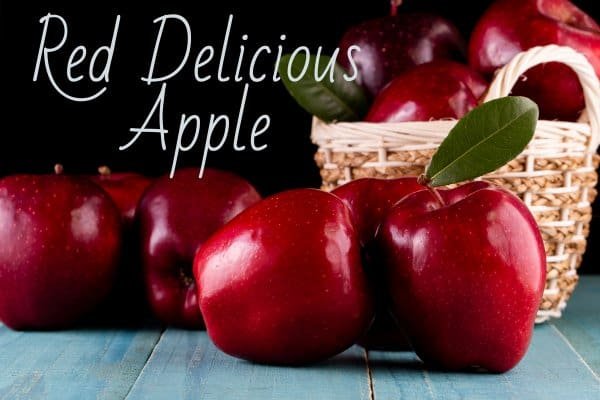 Red Delicious Apple
