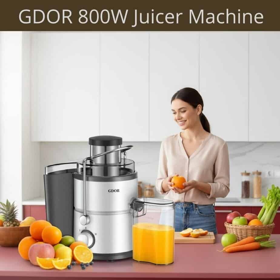 GDOR 800W Juicer Machine, Dual Speed (Value Pick)